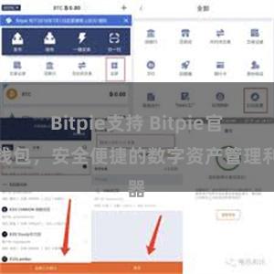   Bitpie支持 Bitpie官方钱包，安全便捷的数字资产管理利器