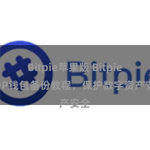 Bitpie苹果版 Bitpie APP钱包备份教程，保护数字资产安全