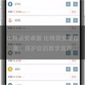 比特派安卓版 比特派安全指南：保护你的数字资产