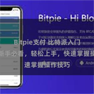 Bitpie支付 比特派入门指南：新手必看，轻松上手，快速掌握操作技巧
