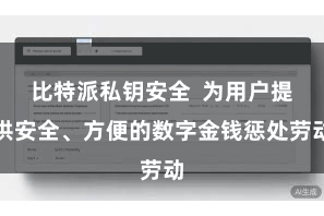 比特派私钥安全  为用户提供安全、方便的数字金钱惩处劳动