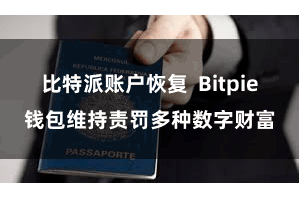 比特派账户恢复  Bitpie钱包维持责罚多种数字财富