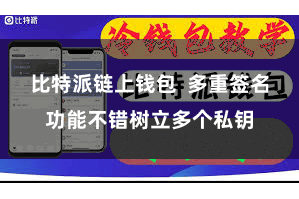 比特派链上钱包  多重签名功能不错树立多个私钥